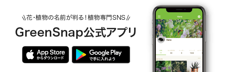 🍀GreenSnap（グリーンスナップ）- 植物・お花好きが集まるコミュニティ